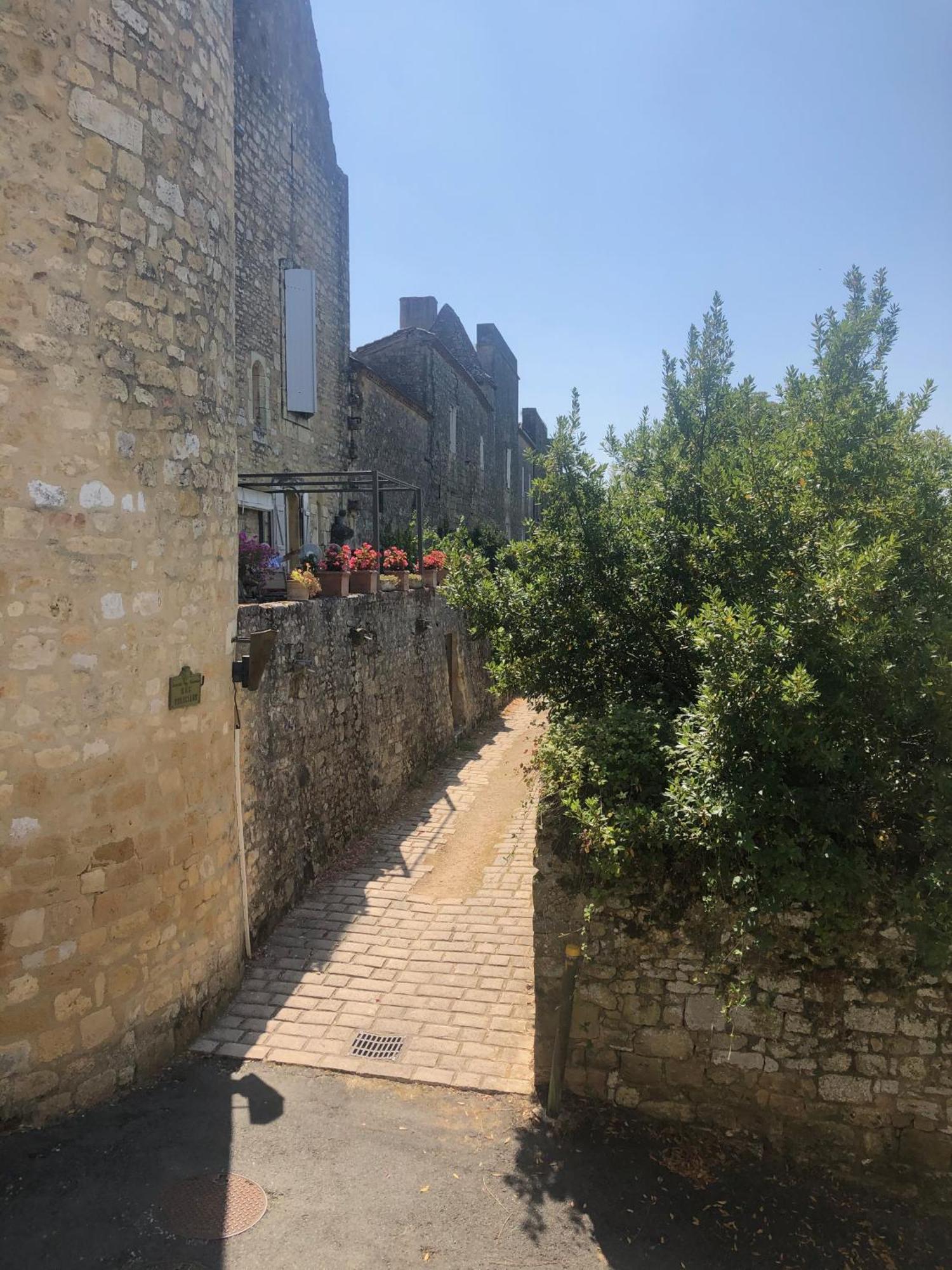 1 Rue Pasquet - 2 Double Rooms In The Main House Beaumont-en-Perigord Ngoại thất bức ảnh